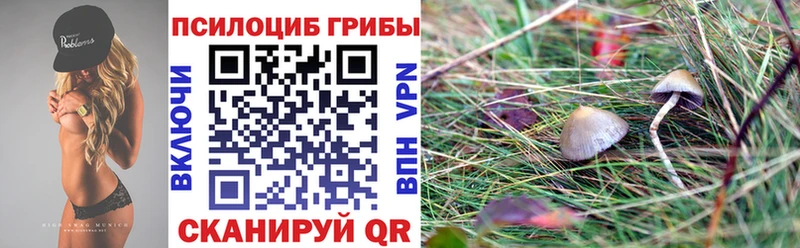 Купить закладки  Саранск  Псилоцибиновые грибы мицелий 